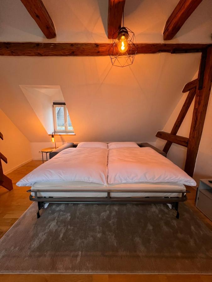 Ludwigshome Zentralste Lage, Klima, Smarttv, Terrasse Людвигсбург Экстерьер фото